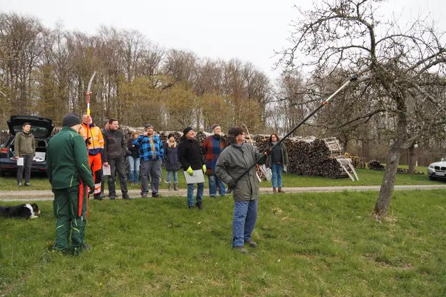 


 | Foto: Landschaftserhaltungsverband Neckar-Odenwald-Kreis e.V. 