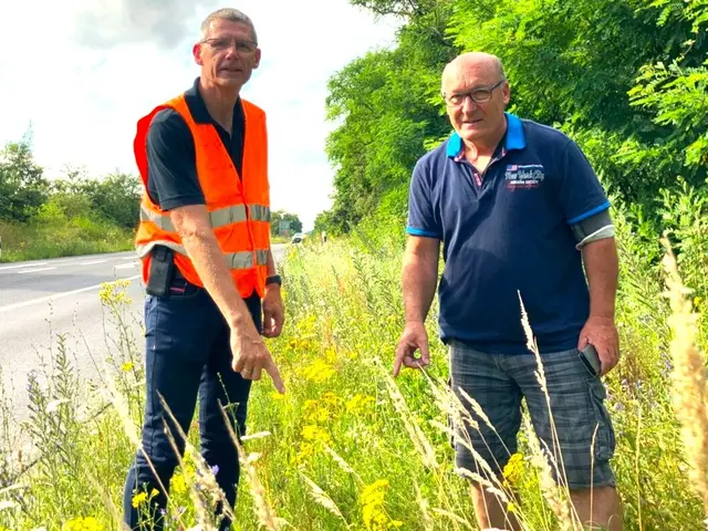 Klaus Vath und Wolfgang Winter zeigen auf giftige Jakobskreuzkraut. | Foto: Vath