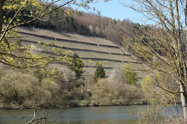 Bei Bürgstadt