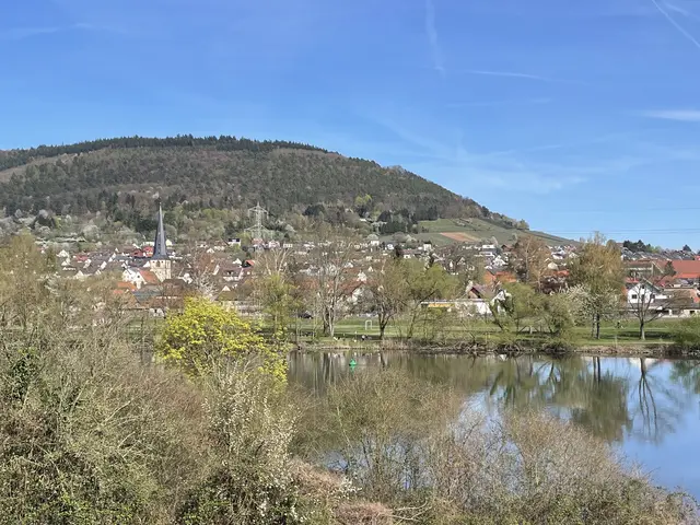 Blick auf Bürgstadt am Main
