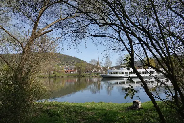Blick auf Bürgstadt am Main.