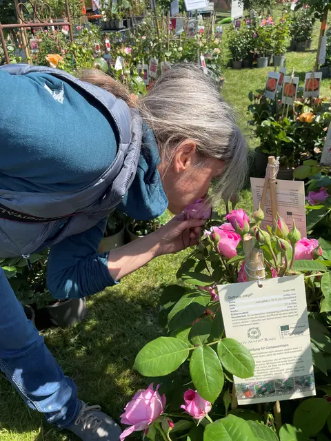 Foto: Thomas Södler