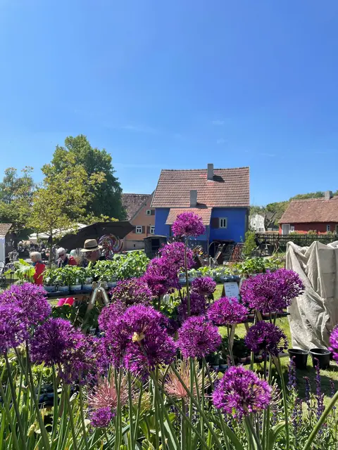 Foto: Thomas Södler