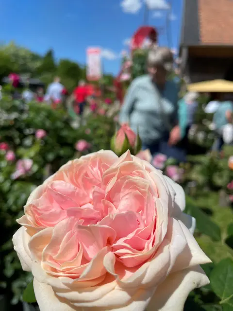 Foto: Thomas Södler