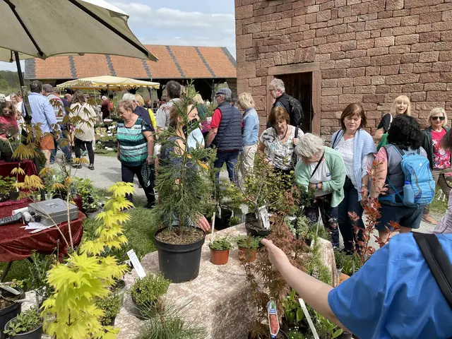 Garten- und Pflanzentage im Odenwälder Freilandmuseum am 9. und 10. Mai 2026 in Walldürn-Gottersdorf. | Foto: Thomas Södler