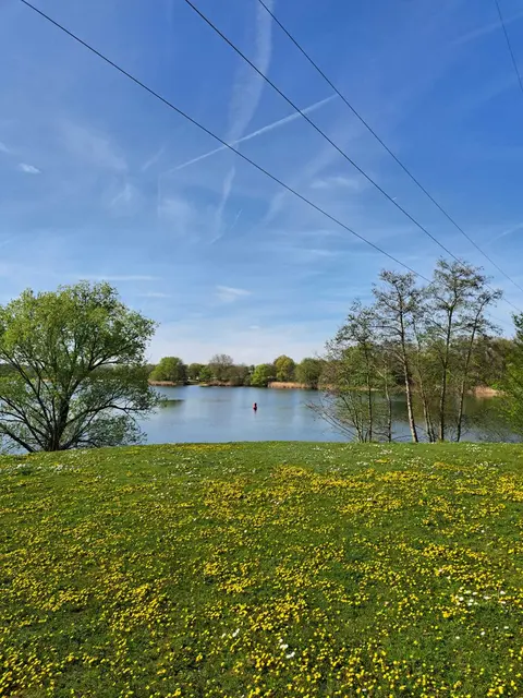 Der Mainparksee | Foto: Uschi Protzek