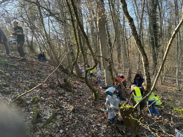 Forest Cleanup Haßmersheim 2026 
 | Foto: H. Pammer