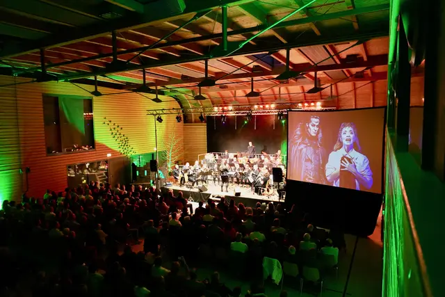  Nahezu drei Dutzend Musikerinnen und Musiker sowie die einheimische Sängerin Daria Steiniger zauberten mit zwölf Werkstücken und drei Zugaben ein mystisch-märchenhafte Atmosphäre unter Julia Grimmer, der Dirigenten-Debütantin aus Dertingen und zogen alle Register ihres Könnens. 

