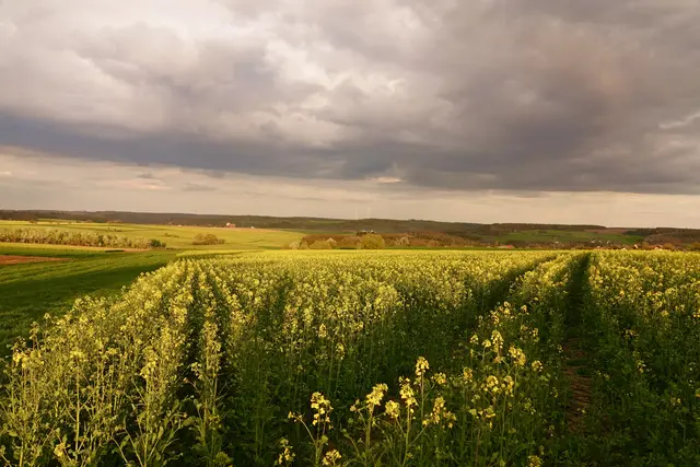 Wie ein Bühnenwechsel erfolgt der Übergang vom April in den Mai.