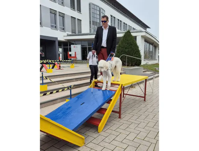 Foto: Fotos: VdK Adelsheim/Sennfeld