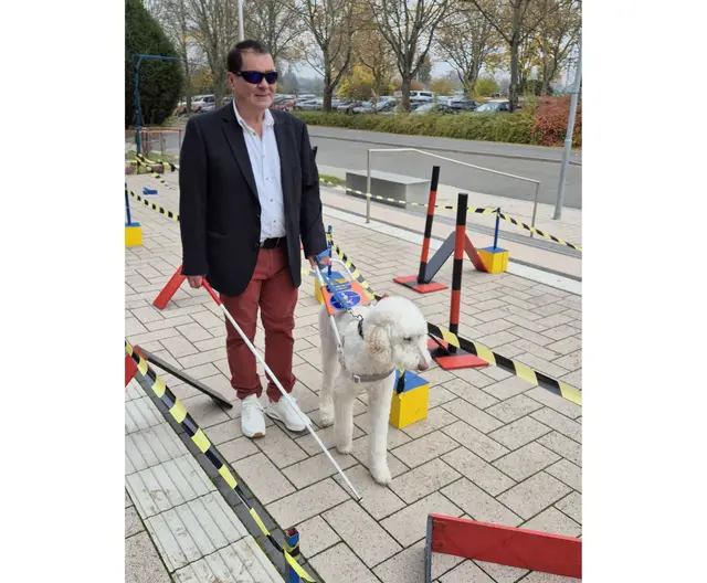 Foto: Fotos: VdK Adelsheim/Sennfeld