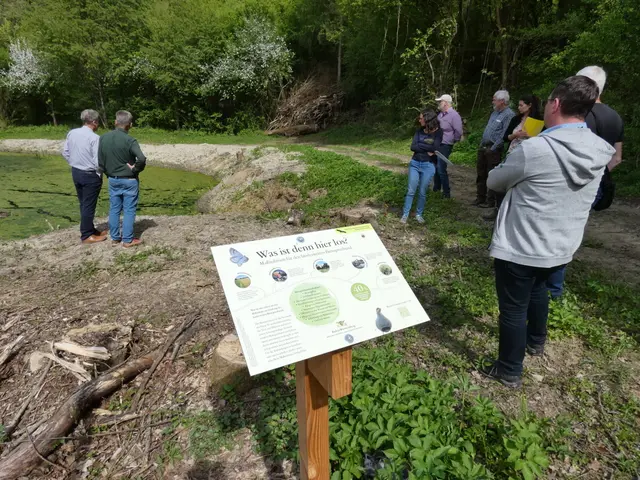 Foto: Landschaftserhaltungsverbands Neckar-Odenwald-Kreis e. V.