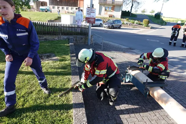 Letzte Vorbereitungen vor der Maibaum-Aufstellung in Windischbuchen. 
