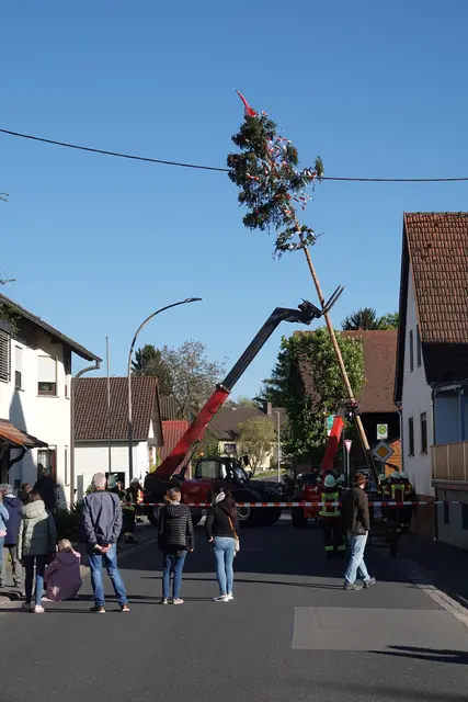 Maibaumaufstellung in Heppdiel 2026 mit Fingerspitzengefühl.