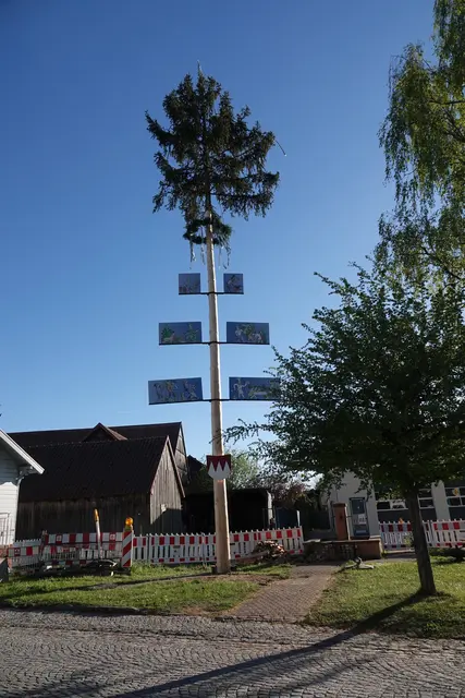 Der neue Maibaum in Wenschdorf.