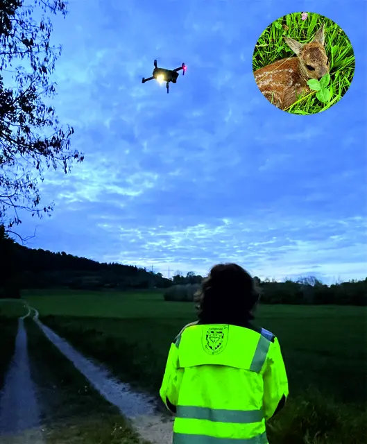 Pilot mit Kitz in Wiese | Foto: BJV Miltenberg