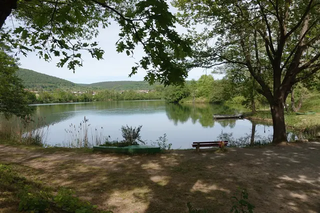 Jeder Schritt ist gedämpft, und doch erzählt die Landschaft bereits von Aufbruch. 
Eine Bachstelze eröffnet den Tag. Sie trippelt über den Kies, leichtfüßig, aufmerksam, als würde sie den See persönlich inspizieren. Über ihr ziehen die ersten Schmetterlinge des Jahres ihre unsicheren Bahnen, noch flatterhaft, aber entschlossen, den Frühling ernst zu nehmen. 