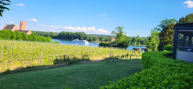 Eltville - Blick zum Rhein | Foto: Josef Eck