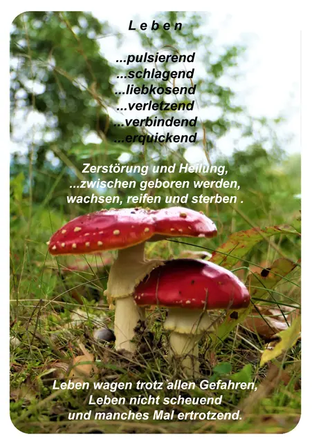 Gedicht und Foto von Margarete Zängerlein