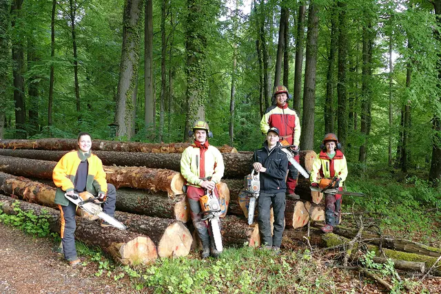 Ihr Arbeitsort ist der Wald. Von links: Sina Pfister (Gemünden), Valentin Ungemach (Lohr), Jannis Richter (Karlstadt), Stefan Roßbach und Sebastian Straub (Lohr)   | Foto: Frauke Beck