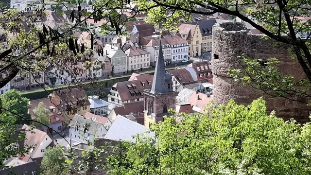 Blick auf Wertheim | Foto: Thomas Mainka