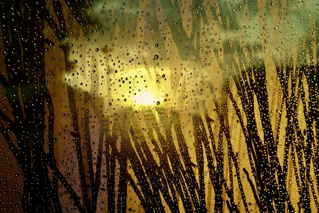Der Himmel wechselte zwischen Sonnenglanz und Regenschauern, als wolle er das Motto „Hab Mut, steh auf!“ selbst inszenieren. 