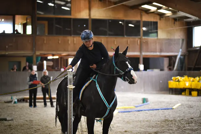 Foto: Tanja Breunig/Vera Schreck