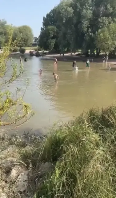 Das Badeverbot im Rhein stößt auf Kritik der Kölner StadtGeselkschaft KSG | Foto: Frei von Rechten Dritter 
