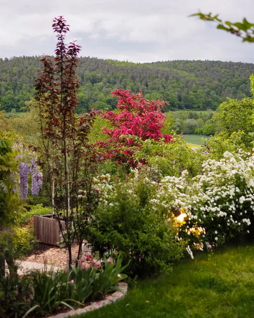Garten von Michelle und Wenzel Wellenbeck in Breuberg. | Foto: privat