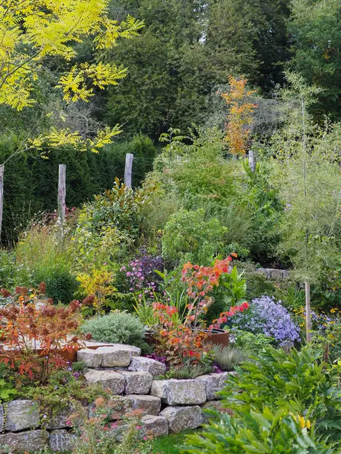Garten von Michelle und Wenzel Wellenbeck in Breuberg. | Foto: privat