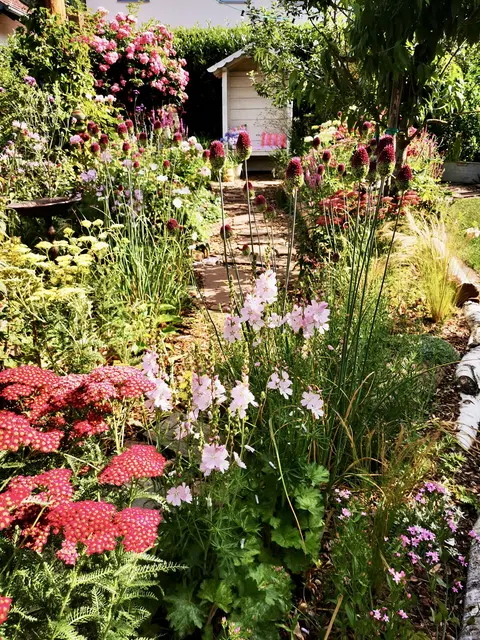 Garten von Anita Hofmann in Kirchzell-Buch. | Foto: privat