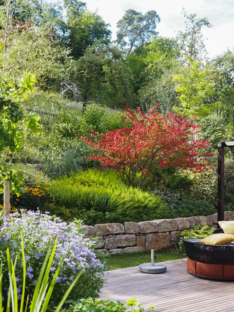 Garten von Michelle und Wenzel Wellenbeck in Breuberg. | Foto: privat