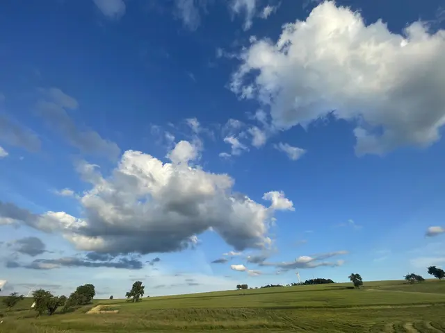 Juni-Szenerie im Odenwald.
