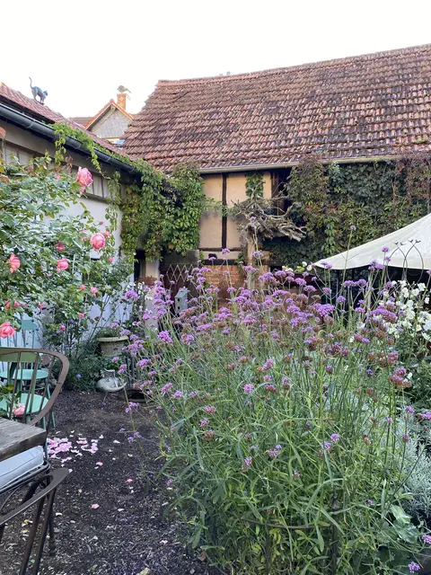 Mitten in der Altstadt von Obernburg liegt Karin Ledvinkas romantischer Stadtgarten.  | Foto: privat
