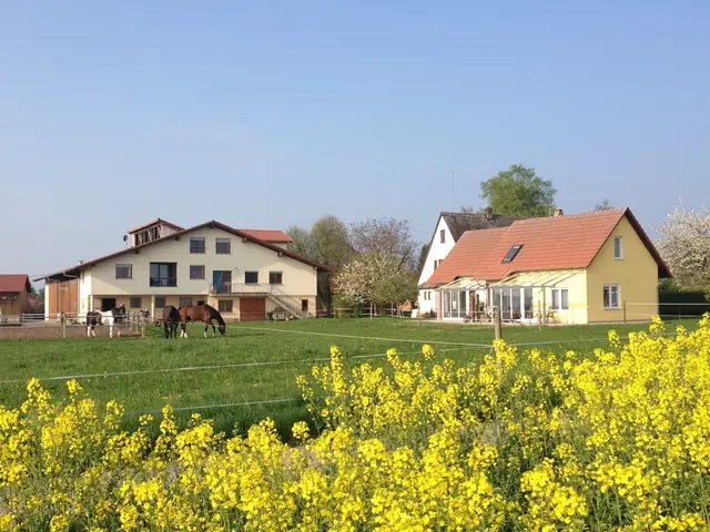 Der Ferienbauernhof Gerig besteht seit 60 Jahren. Ende Juni feiert er nun Jubiläum. Neben Rindern sind auf dem Hof Pferde, Ponys, Hühner, Schweine, Hasen, Katzen und Hofhund Hugo zu finden.

 | Foto: Stefan Gerig