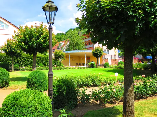 Der Rosengarten in Klingenberg | Foto: Stadt Klingenberg am Main