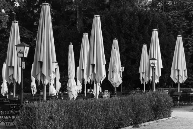 Geschlossene Gesellschaft (Urkunde) | Foto: Siegfried Rath