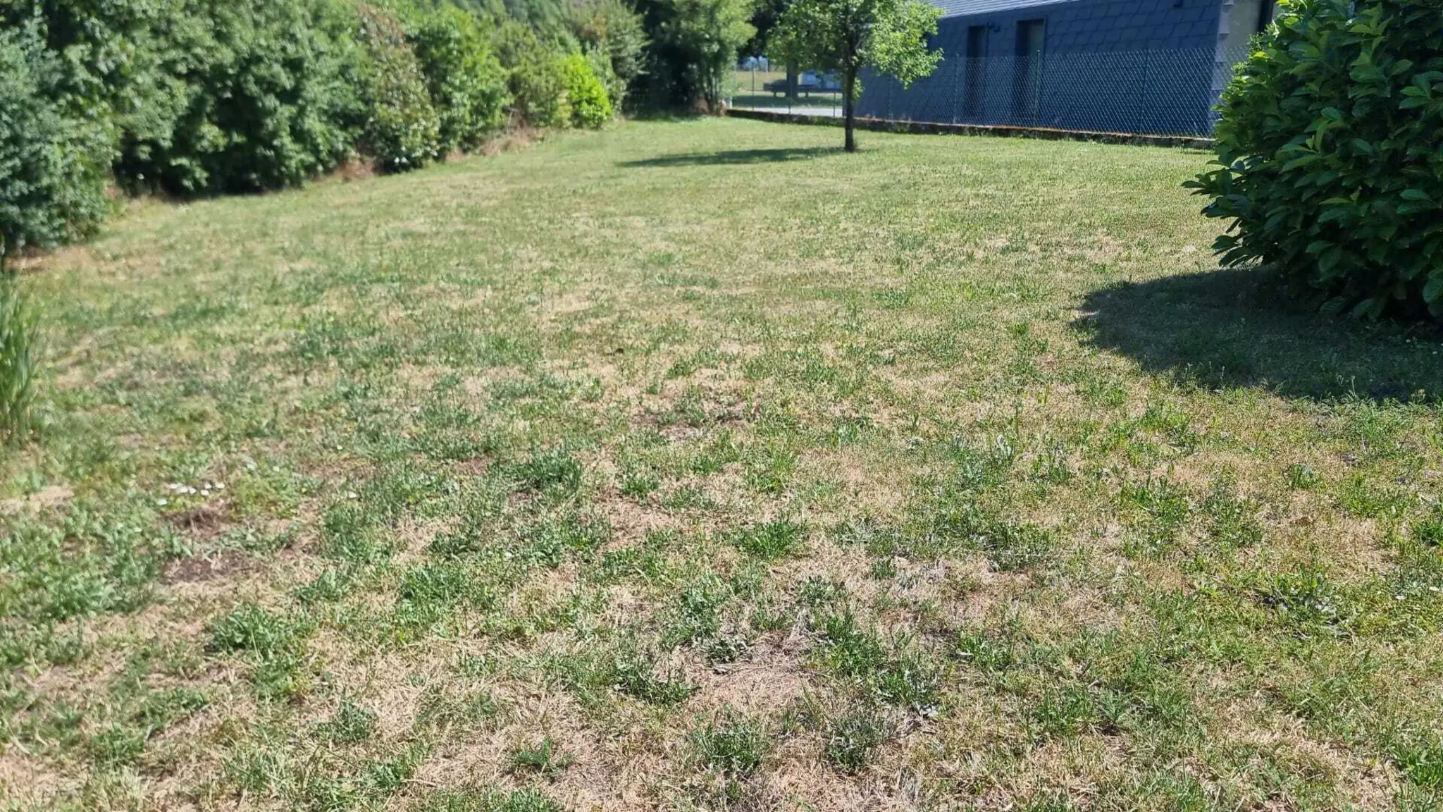 Bei-der-Gartenarbeit