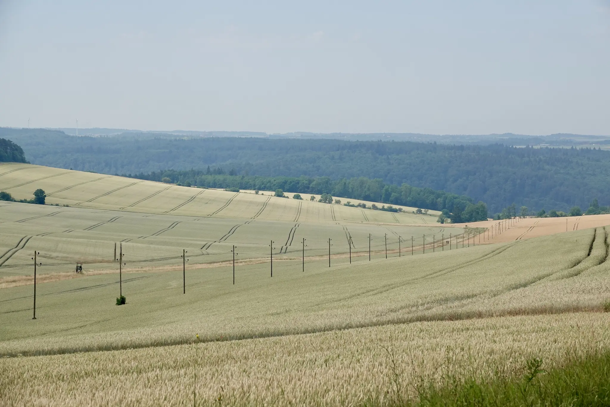 Zwischen-Bronnbach-und-H-hefeld-eine-Traumlandschaft-