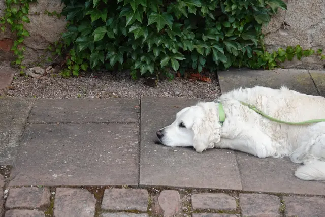 Kleine Verschnaufspause