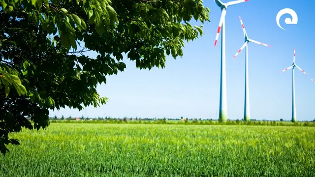 Symbolbild: Landratsamt Neckar-Odenwald-Kreis | Foto: Landratsamt Neckar-Odenwald-Kreis