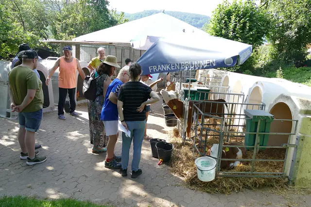 Die jungen Kälber werden im Außenbereich in sogenannten Iglus gehalten. | Foto: Frauke Beck