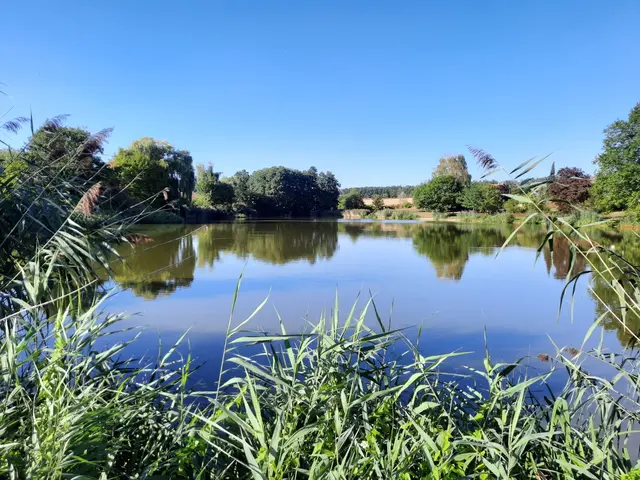 Aufgrund der Niedrigwasserlage wird das Landratsamt die Ausübung des Gemeingebrauchs an oberirdischen Gewässern – mit Ausnahme des Neckars – ab 1. Juli bis einschließlich 30. September 2026 beschränken. 

 | Foto: Foto: Landratsamt Neckar-Odenwald-Kreis