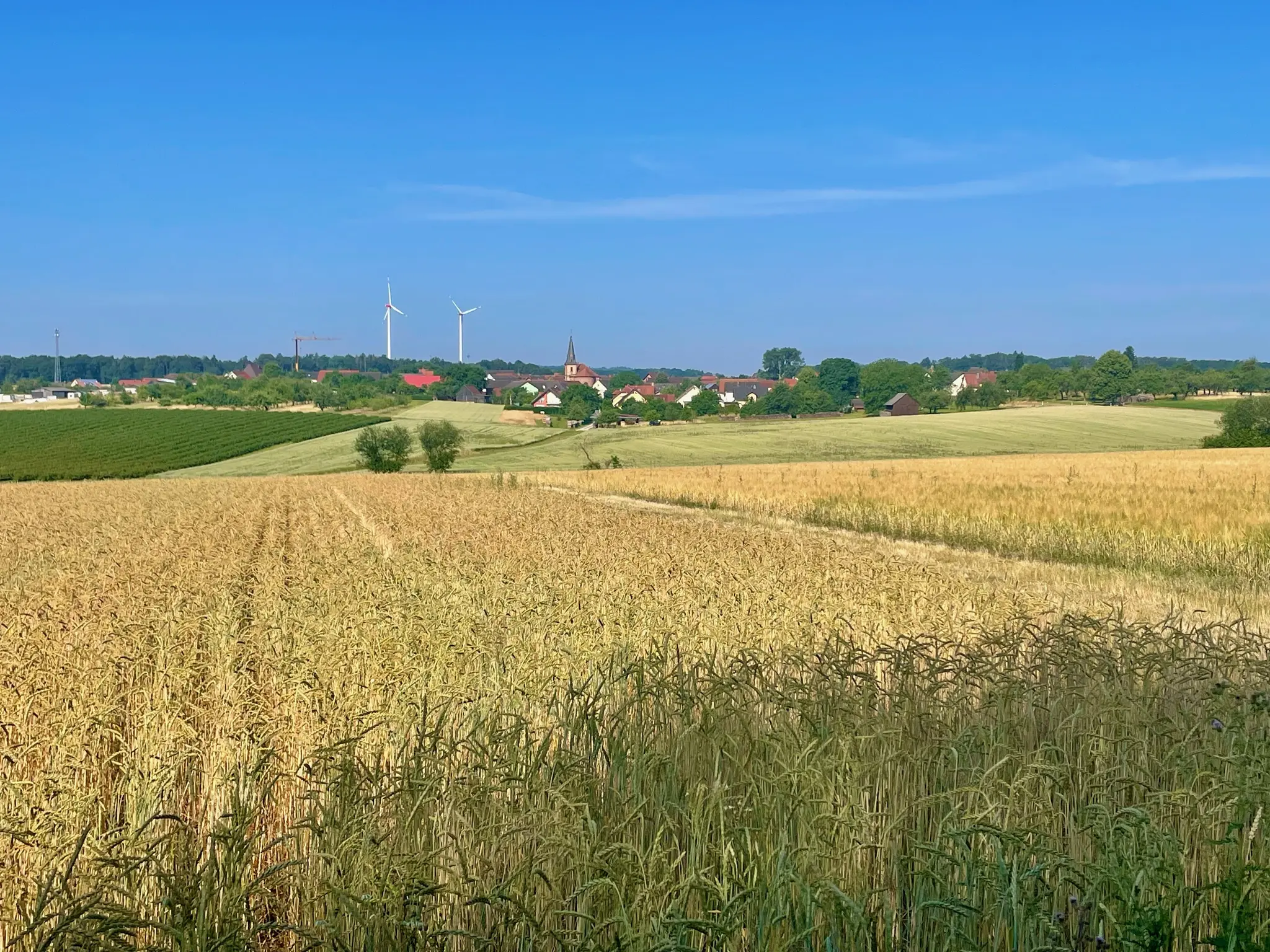Vom-Konflikt-zur-Einheit-