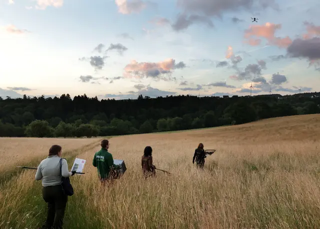 Die Drohne, oben rechts im Bild, weist den Weg: Genau darunter liegt das Rehkitz. Das Team nähert sich vorsichtig, mit dabei sind Kescher, die Box und der Aufsteller mit Hinweisschild „Fasse mich nicht an“.  Foto: Martin Hahn