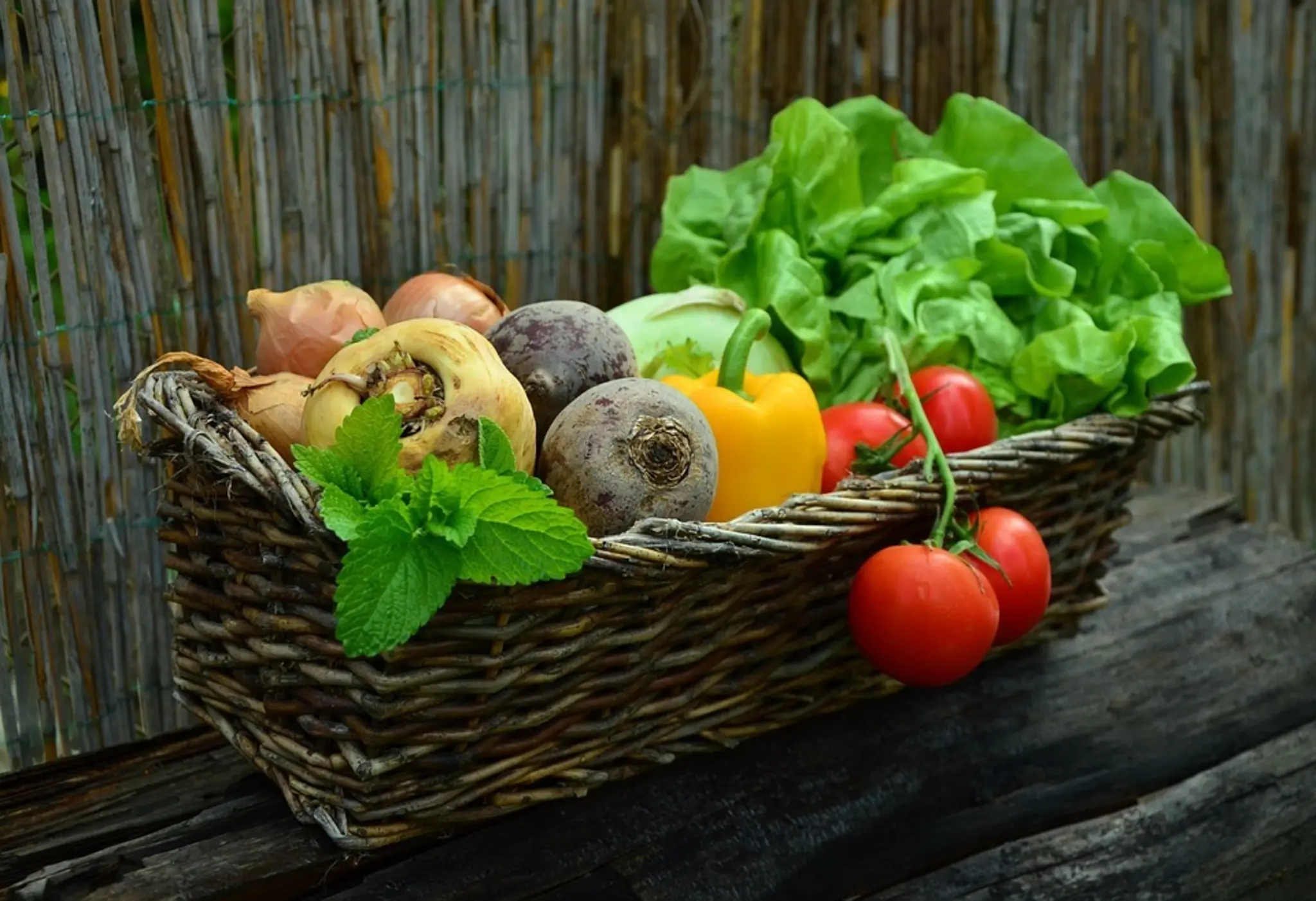Vegetarisch-genie-en-Kreative-K-che-voller-Geschmack