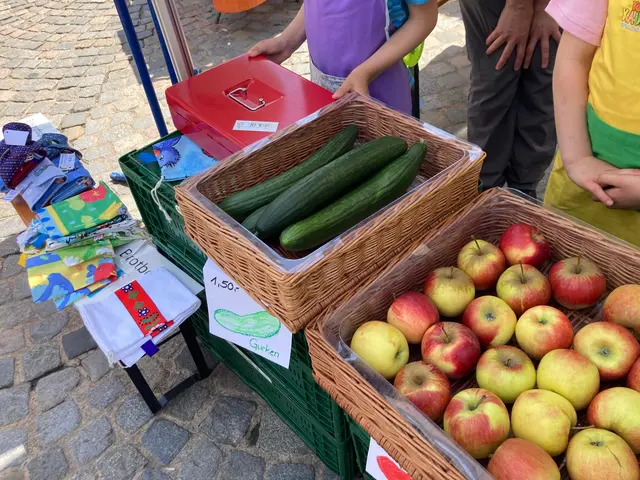 Im Rahmen des Projekts besuchten die Vorschüler des Bauernhofkindergartens den Aschaffenburger Wochenmarkt. Der KidsKaufladen wird organisiert von "Jugend mit Zukunft gGmbH". | Foto: Natur- und Bauernhofkindergarten Lindenhof Niedernberg 
