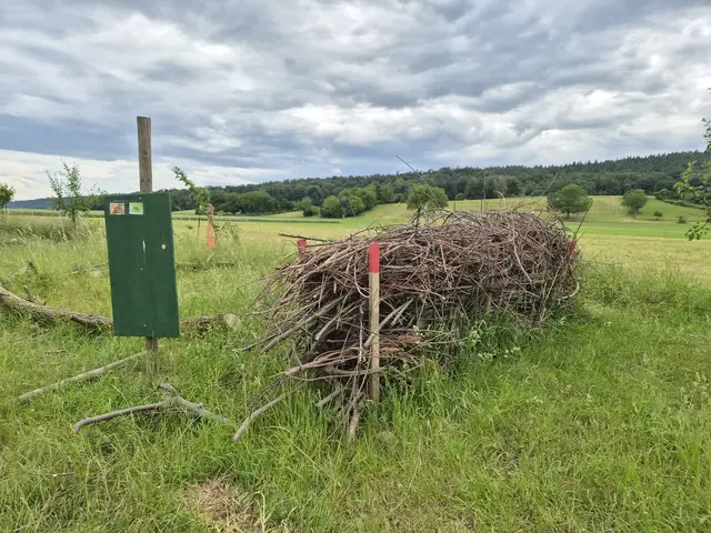 Projekt Totholzhecke des Bauernhofkindergartens. | Foto: Natur- und Bauernhofkindergarten Lindenhof Niedernberg 