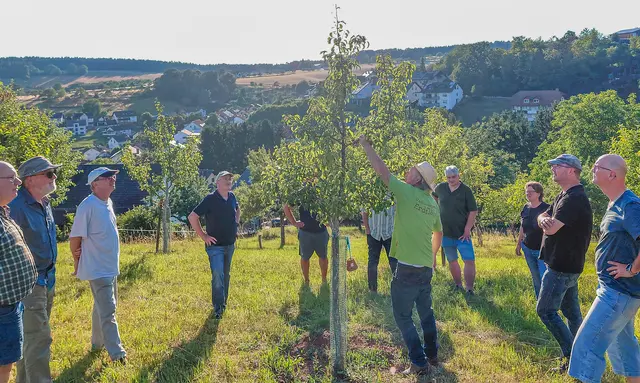 Bei sommerlichen Temperaturen erfuhren die Teilnehmenden des Runden Tischs Streuobst, welche Arbeiten im Sommer erfolgen müssen.  | Foto: Linda Sedelmayer-Oswald