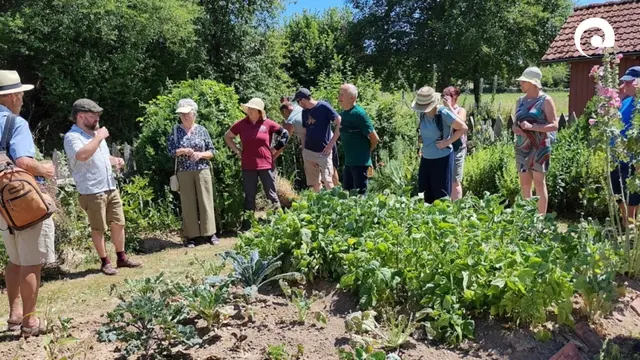 Der anschließende Ackerwildkrautspaziergang führte auch durch den Bauerngarten des Freilandmuseums. 

 | Foto: RPK (Büttner)